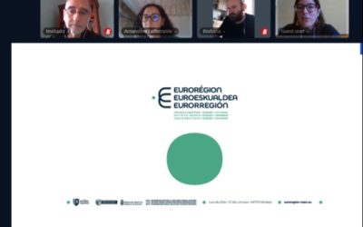 Jornada online de presentación del proyecto EMPLEO como antecedente a TRANSLANEKIN